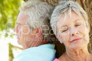 Portrait of senior couple