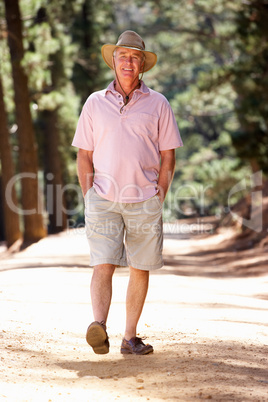 Senior man on country walk