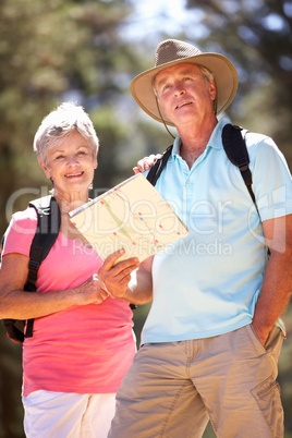 Senior couple reading map on country walk