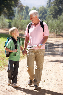 Senior man and grandson on country walk