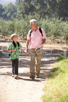 Senior man and grandson on country walk