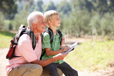 Senior man reading map with grandson on country walk