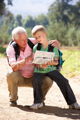 Senior man reading map with grandson on country walk