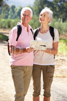 Senior couple reading map on country walk