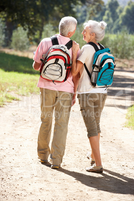 Senior couple on country walk