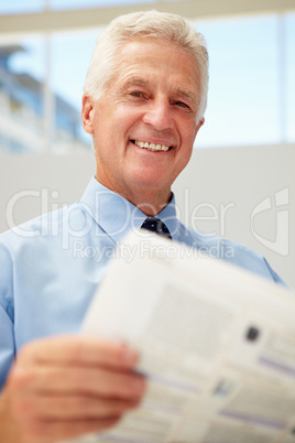 Senior businessman reading document