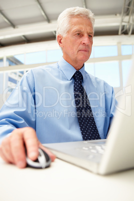 Senior businessman using laptop
