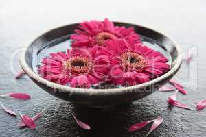 Flower heads in bowl of water