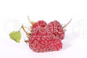 Drei Himbeeren