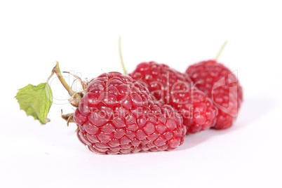 Drei Himbeeren