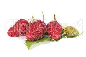 Drei Himbeeren