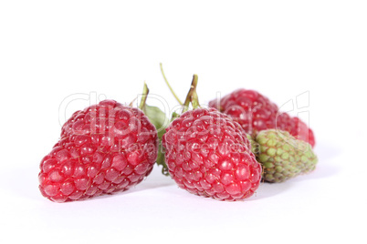 Drei Himbeeren