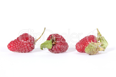 Drei Himbeeren