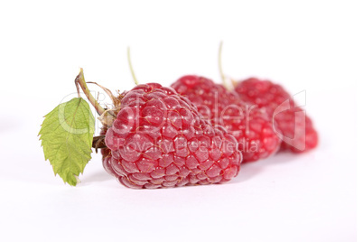 Drei Himbeeren