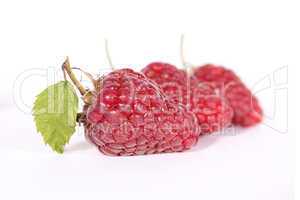 Drei Himbeeren