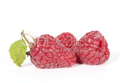 Drei Himbeeren