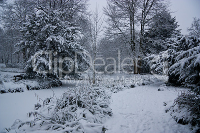 Park im Schnee