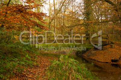 Waldbrücke im Herbst
