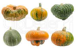 Colourful pumpkins isolated on white background.