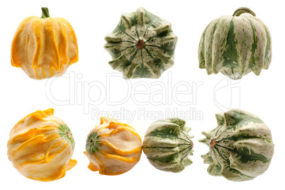 Colourful pumpkins isolated on white background.