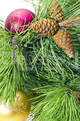 Pine branches with New toys