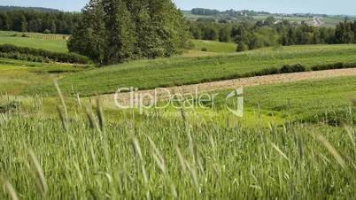 Fields and meadows, village scenery.