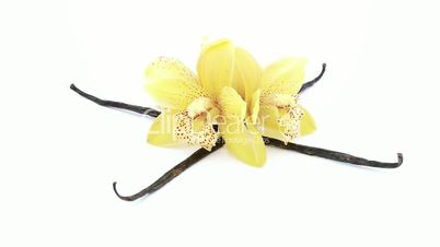 rotating loop of orchids with vanilla