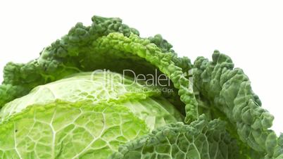 closeup of cabbage isolated on white background