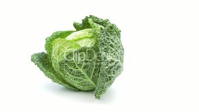 cabbage isolated on white background – loopable file