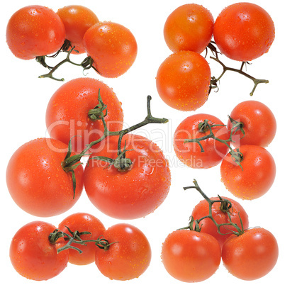 Three Red Tomatoes