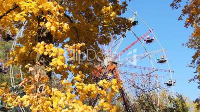Autumn Tree And Ferris Wheel