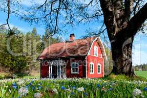 Frühling in Schweden