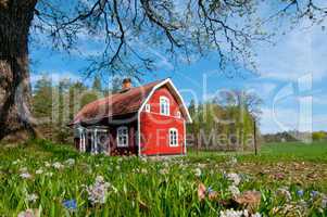 Rotes Holzhaus in Schweden im Frühling