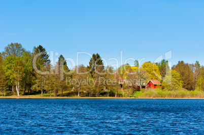 frühling in schweden