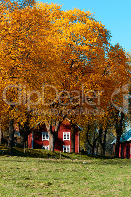 Autumn in sweden