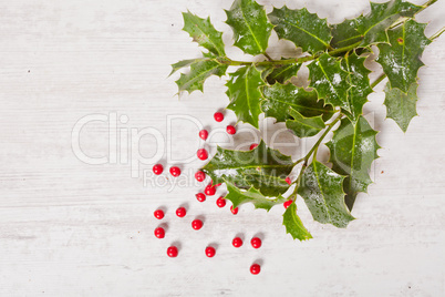 holly and red berries