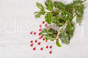 holly and red berries