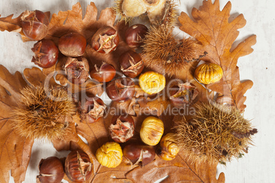 Chestnuts