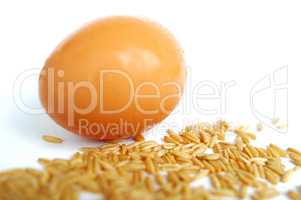 Egg and wheat grain