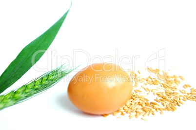 Egg and wheat