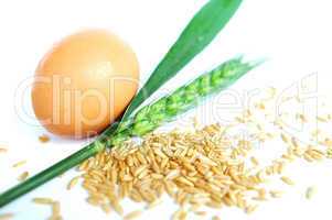 Egg and wheat