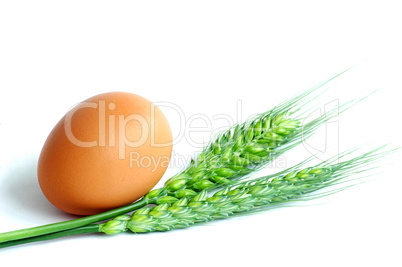 Egg and wheat