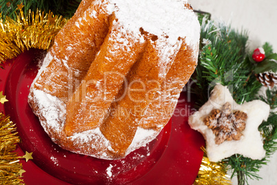 Christmas Pandoro