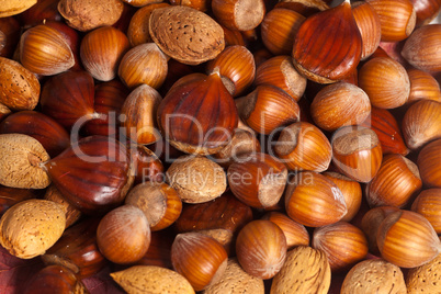 Nuts background