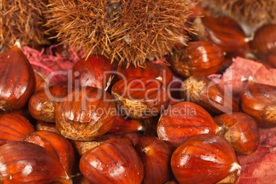 Chestnuts