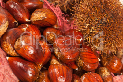 Chestnuts