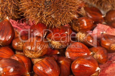 Chestnuts