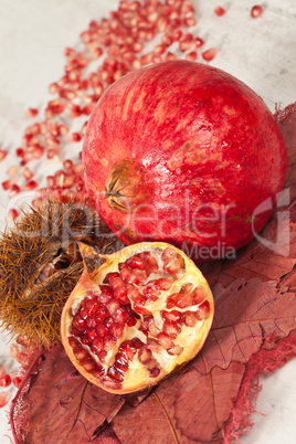 Pomegranate