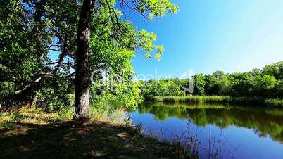 river landscape