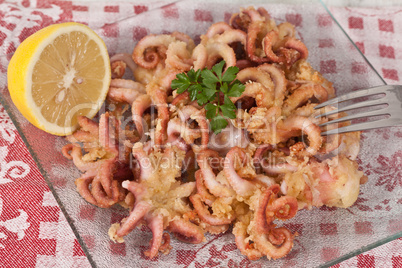 Fried Octopus